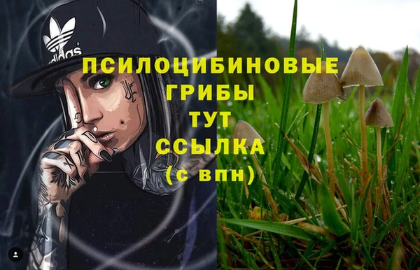 spice Коряжма